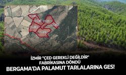 İzmir "ÇED Gerekli Değildir" fabrikasına döndü: Bergama'da palamut tarlalarına GES!