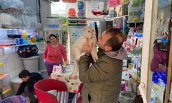 İzmir’de petshopta ilginç hırsızlık: Kediyi montunun cebine gizleyerek kaçıyor