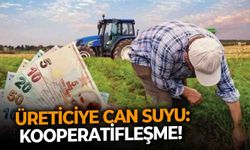 Üreticiye can suyu: Kooperatifleşme!