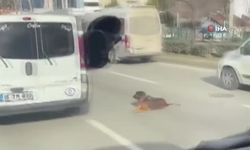 Yol ortasında keyif yapan köpek trafiği felç etti!