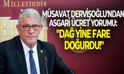 Müsavat Dervişoğlu'ndan asgari ücret yorumu: "Dağ yine fare doğurdu!"