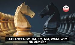 Satrançta GM, IM, FM, NM, WGM, WIM ne demek?