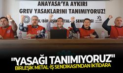 Birleşik Metal-İş Sendikası'ndan iktidara: "Yasağı tanımıyoruz"