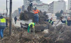 Büyükşehir, peyzaj ve temizlik çalışmalarını sürdürüyor