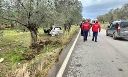 Direksiyon hakimiyetini kaybetti, ağaca çarparak durabildi