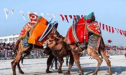 Bu da "Deve güreşi" krizi: Bayındır'da hava muhalefeti siyasi fırtına estirdi!