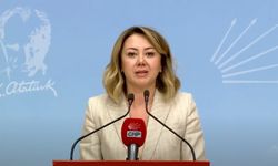 CHP'li Gül Çiftçi: "Adaletin gerçek anlamda işlemesi gerekiyor!"