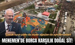 Çocuk oyun parkı da zeytin ağaçları da aynı firmadan: Menemen'de borca karşılık doğal sit!