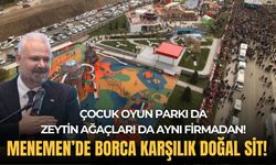 Çocuk oyun parkı da zeytin ağaçları da aynı firmadan: Menemen'de borca karşılık doğal sit!