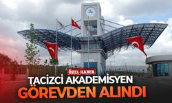 Tacizci akademisyen görevden alındı!