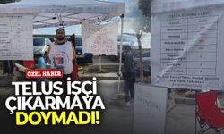 TELUS işçi çıkarmaya doymadı!