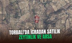 Torbalı'da icradan satılık zeytinlik ve arsa