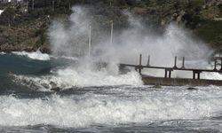 Kışın soğukluğu Bodrum'a uğramadı!