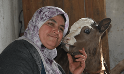 Fedakar anne! Kendisi yemiyor, hayvanlarına yediriyor