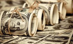 Dolar endeksi temmuz ayında yüzde 3,5 artış gösterdi