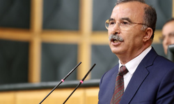 DEM Partili Akın Pamucak'ı TBMM'ye taşıdı: İmara mı açılacak?