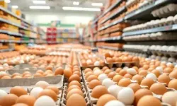 Yumurtanın kalitesini ele veren detay: Alışverişte gözden kaçırılan kritik uyarı