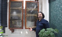 İsviçre'den, Aydın’a: Fabrika sahibi ofisinde arı besliyor!