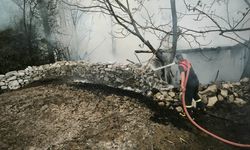 Baraka yandı 100 tavuk telef oldu