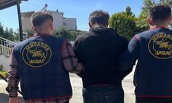 Aydın'da çocuk istismarı suçlusuna jandarmadan nokta operasyon!