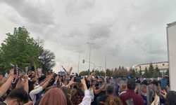 Anayasa Mahkemesi'ne hayvan kanunu tepkisi: Sokağa taşan protestolar!