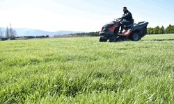 Balıkesir'de kuraklığa dayanıklı çimle hem tasarruf hem yeşil alan