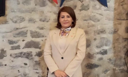 CHP'li Kaya'dan Asu Kaya'ya destek: Kadın kimliğine saldırı!