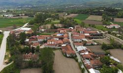 Bolu'da köylerde toplu rahatsızlık paniği! Hastaneye kaldırıldılar!