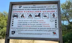 Bu sahillere girenler 557 Bin TL ceza ödeyecek!