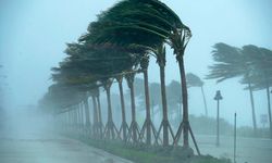 Toz, fırtına, ağaç devrilmesi… Meteoroloji Ege'ye alarm verdi!