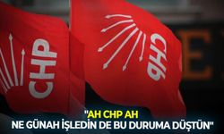 "Ah CHP ah, ne günah işledin de bu duruma düştün?"
