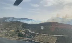 İzmir Urla'da makilik alanda yangın: Ekiplerden yoğun müdahale!