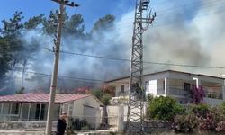 Muğla Marmaris'te orman yangını: Yerleşim yerleri tehdit altında!