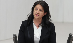 Pervin Buldan Trafik Kazası mı Geçirdi? Pervin Buldan kimdir?