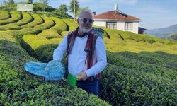 Bir şehirle susarak anlaştım: Rize