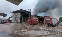 Sakarya'da fındık fabrikasında yangın paniği!