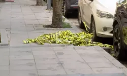 Şişli’deki kadın cinayetinde mide bulandıran detay!