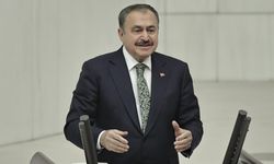 Resmi Gazete'de yayımlandı: Veysel Eroğlu'na yeni görev!