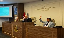 Zirai donla sarsılan çiftçiye Başkan Türkmen'den destek sözü!