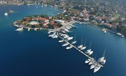 Balık da gidecek, turist de: Koy nefessiz kalacak!