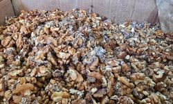 Ünlü baklavacıda büyük skandal: 11 ton bozuk ceviz ele geçirildi!