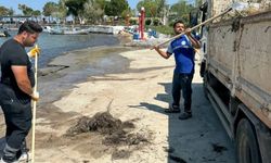 Didim Belediyesi'nden Mavişehir sahiline temizlik mesaisi