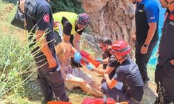 Manzara İzlemek istedi, ölümden döndü!