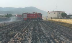 Muğla’da anız alarmı: İlk 6 ayda 380 yangın!