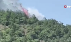Ankara'da orman yangını! Ekipler harekete geçti