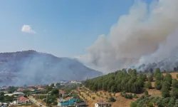 Aydın Valisi Yakup Canbolat: "Yangın hızla yayılıyor!"