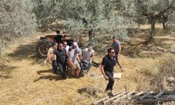 Aydın Kuşadası'nda traktör faciası: Yaşlı adam can verdi!