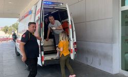 Aydın'da 'acemi kasap' bilançosu ağır: 4 günde onlarca yaralı!
