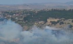 Balıkesir'de orman yangını: Müdahale sürüyor!