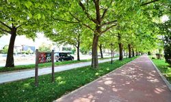 Denizli’de yürüyüş yolları şiirle buluştu
